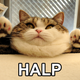 Illustration for article titled Halp!
